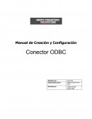 Manual de Creación y Configuración