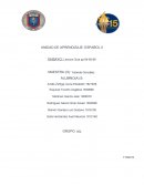 Español ensayo integradora