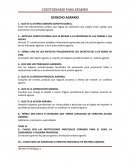 QUE ES EL SISTEMA AGRARIO CONSTITUCIONAL.