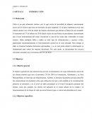 DAÑOS Y EFECTOS EN INFRAESTRUCTURA PRODUCIDOS POR EL TERREMOTO 27/F EN CONCEPCIÓN Y SU ÁREA METROPOLITANA (Cap.1)