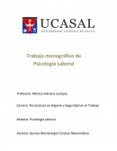 Trabajo monográfico de Psicología Laboral