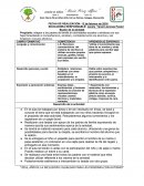 PLANEACION DE LA AMISTAD