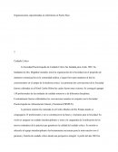 Organizaciones especializadas en enfermería en Puerto Rico