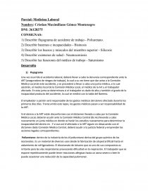 Examen de Medicina Laboral. Página 1
