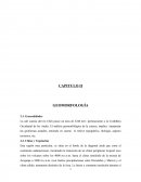 CAPITULO II GEOMORFOLOGÍA