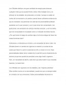 Los Oficiales dedican una gran cantidad de energía para alcanzar cualquier meta que es puesta frente a ellos