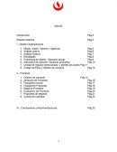 DAMAJO S.A.C DISEÑO ORGANIZACIONAL.