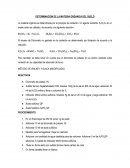 DETERMINACION DE LA MATERIA ORGANICA DEL SUELO