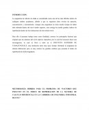 Aplicación de los sistemas blandos.