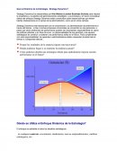 Qué es Dinámica de la Estrategia - Strategy Dynamics?