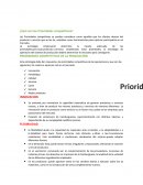 PRIORIDADES COMPETITIVAS DE LA PRODUCCIÓN