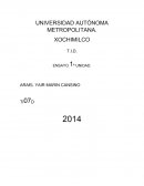 Sistema modular UAM-X: Una innovación educativa en el contexto de la universidad pública