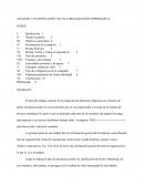 Un ANALISIS E INVESTIGACIÓN DE UNA ORGANIZACIÓN EMPRESARIAL