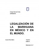 Ensayo legalización de la Marihuana.