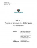 DESARROLLO DEL LENGUAJE.