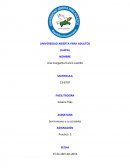 SER HUMANO Y SU CONTEXTO.