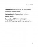 Sub-módulo III: Planea estrategias sustentables para proyectos agropecuarios.