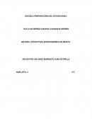 MATERIA: ESTRUCTURA SOCIECONOMICA DE MEXICO.