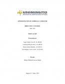 Administración de empresas, dirección y control