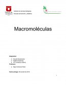 Instituto de ciencias biológicas.Macromoleculas.