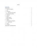 Evidencia de Ingles.