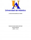 Còmo disminuir los altos costos de implementaciòn de un Sistema de Gestiòn?.
