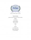 Neuropsicologia- Selección de tema de cada uno de los Lóbulos Cerebrales.