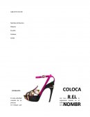 Creación de un organizado basado en el proceso administrativo que consiste en 4 etapas