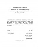 Proyecto de locion capilar para los piojos