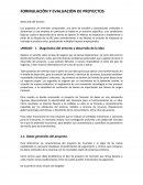 Formulacion y evaluacion de proyectos.