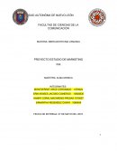 PROYECTO ESTUDIO DE MARKETING PIA