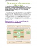 Sistemas de informacion del marketing.