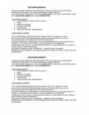 LAS REACCIONES QUÍMICAS SON PROCESOS POR LOS CUALES LAS SUSTANCIAS PIERDEN SU IDENTIDAD Y SE TRANSFORMAN EN OTRAS NUEVAS.