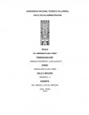 Virreynato del peru.