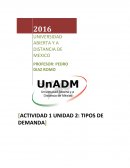 Una Descripción de la actividad