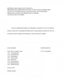 PROGRAMA NACIONAL DE FORMACION EN TURISMO