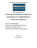 ESTRATEGIAS DE DESARROLLO CURRICULAR SOCIOPRODUCTIVO: COMPRENDIENDO LA ESTRUCTURA CURRICULAR