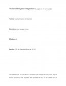 Basura. Contaminación Ambiental