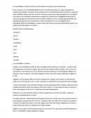 Las actividades a realizar estaran conformadas por equipos de 8 a 9 personas.