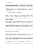 El control según las NIIF.