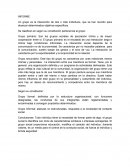 Informe grupos sociales