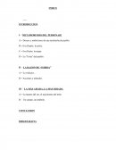 Deseos y ambiciones de una muchacha de pueblo