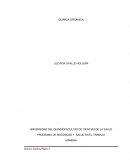 ENSAYO SOBRE MATERIAS PRIMAS: SUMINISTRO DE ENERGIA Y PRODUCTOS BASICOS DE LA INDUSTRIA QUIMICA ORGANICA