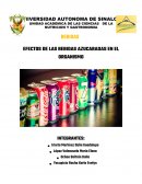 EFECTOS DE LAS BEBIDAS AZUCARADAS EN EL ORGANISMO