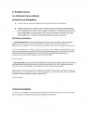 Análisis del macro ambiente.