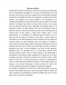 Racismo en Mexico.