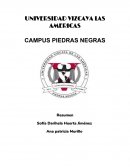 Admonistracion del personal. Análisis de puesto