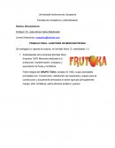 Empresa 100% Mexicana dedicada a la producción, transformación, empaque y exportación de frutas y hortalizas.