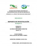 ¿Qué es el catastrofismo?