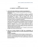 CASO LA CAMPAÑA “VALORES DIFERENTES” DE HSBC